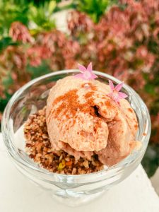 Cashew & Cacao Ice Cream